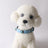 Adjustable PU leather cat collar with cat eye stone, product image 4