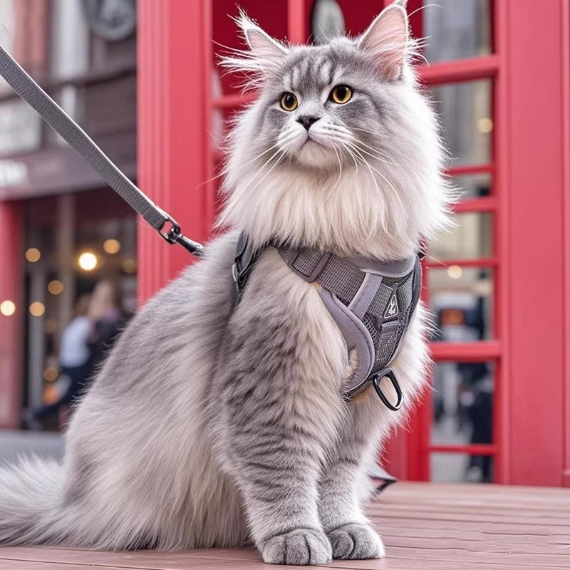 H-shaped cat harness and lead set in polyester, product image 3
