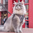 H-shaped cat harness and lead set in polyester, product image 3