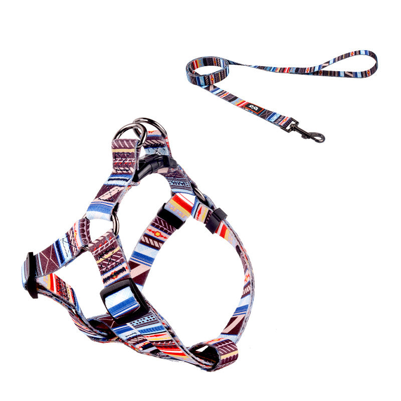 Printed dog collar with star pattern and matching lead