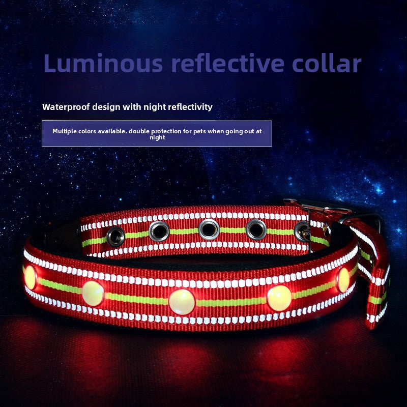USB rechargeable light up dog collar in red, green and pink