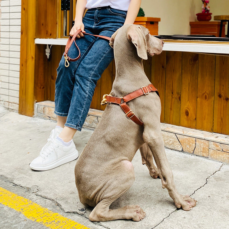 Leather look dog harness in brown with matching lead