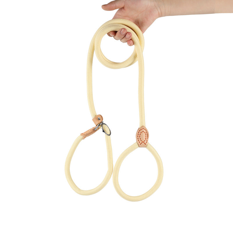 Heavy-duty braided slip dog lead, ideal for everyday use