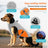 Dog cooling vest with reflective strips in light grey and orange, view 2