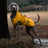 Waterproof windproof dog raincoat, available in 4 colours, image 34