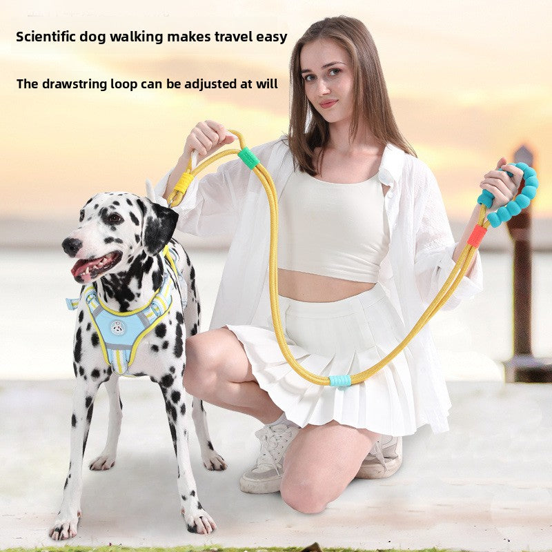 Bright nylon dog lead in vivid colour, product image 1