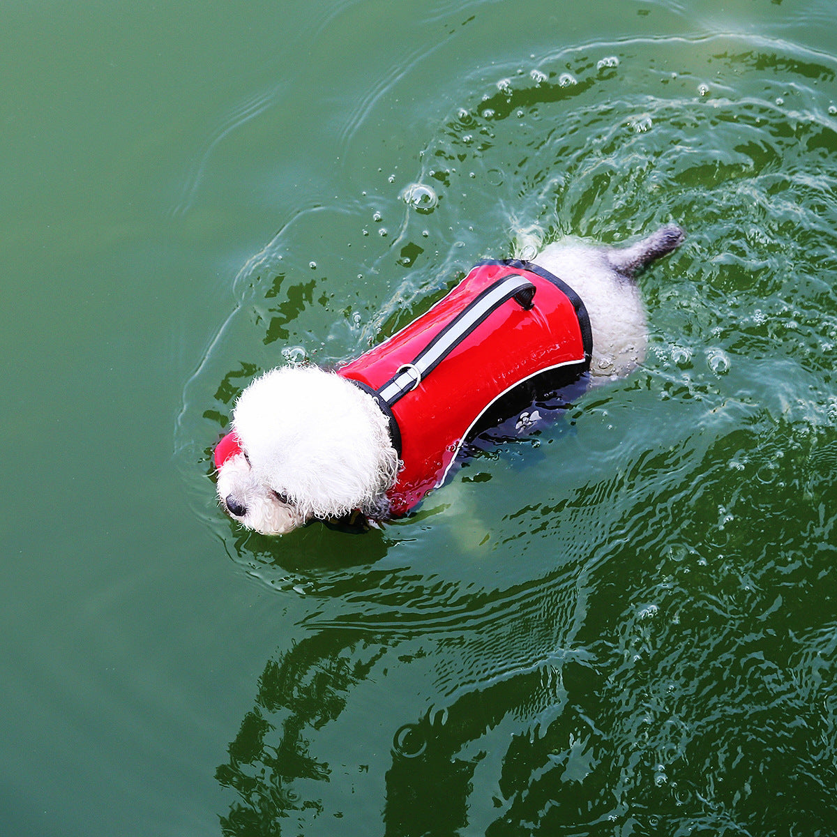 Dog life jacket with lead ring, available in 5 colours, image 25