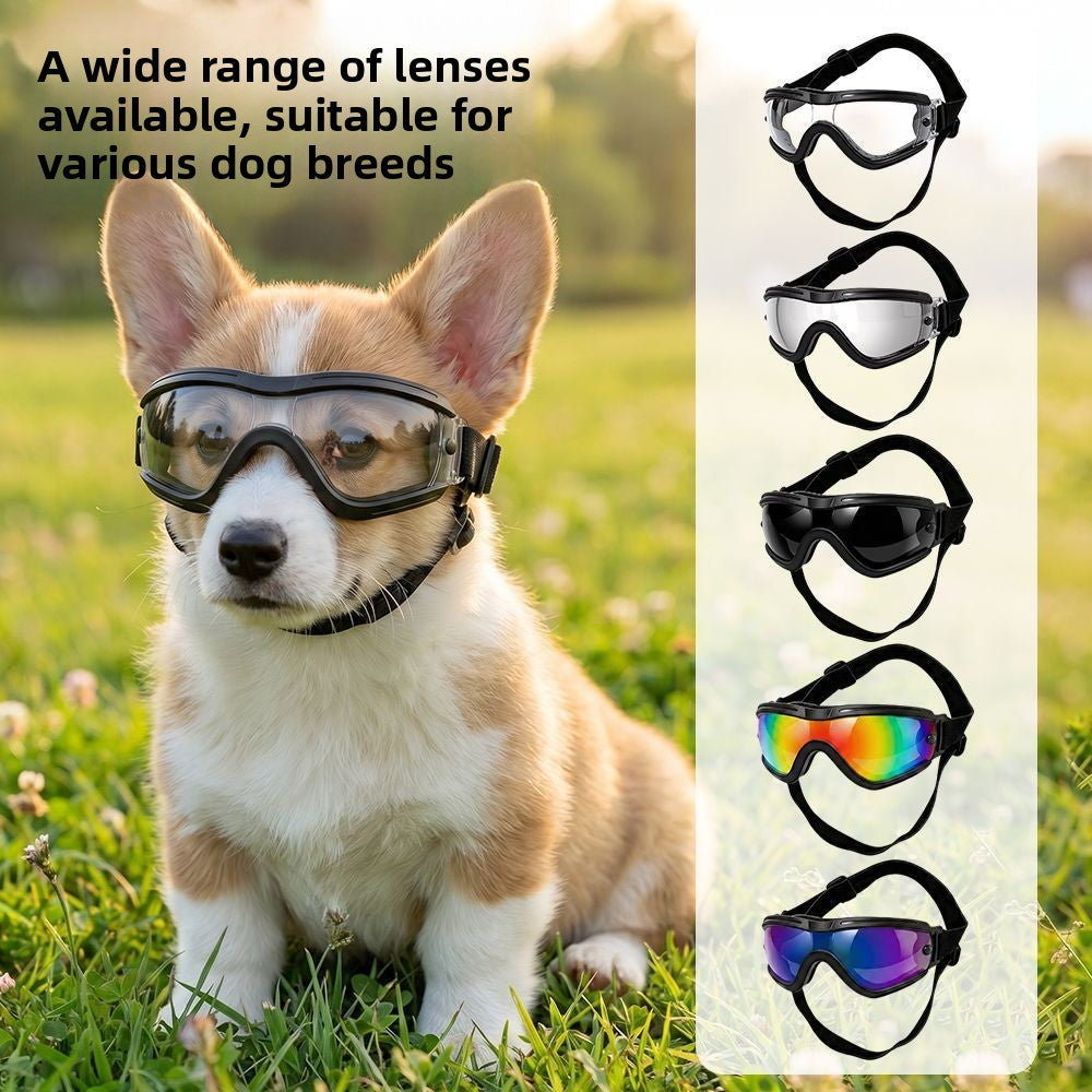 Dog goggles with adjustable straps, main product photo