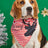 Cartoon print pet bandana for dogs and cats in Design 13, showing size and shape