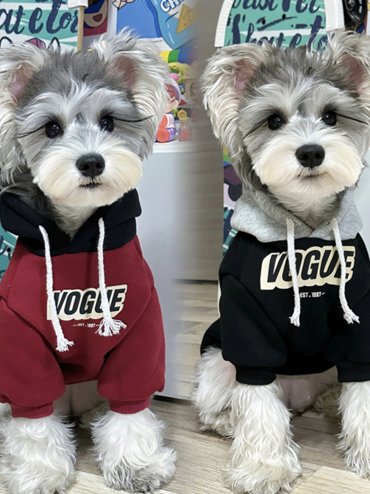 Two tone hooded sweatshirt for dogs and cats, available in 4 styles, image 1