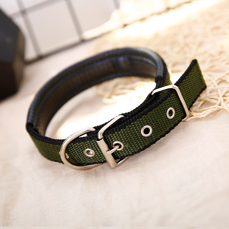 Foam padded adjustable dog collar, available from Pet Royale UK