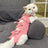 Cat Sterilization Recovery Suit Post Surgery Protective Garment
