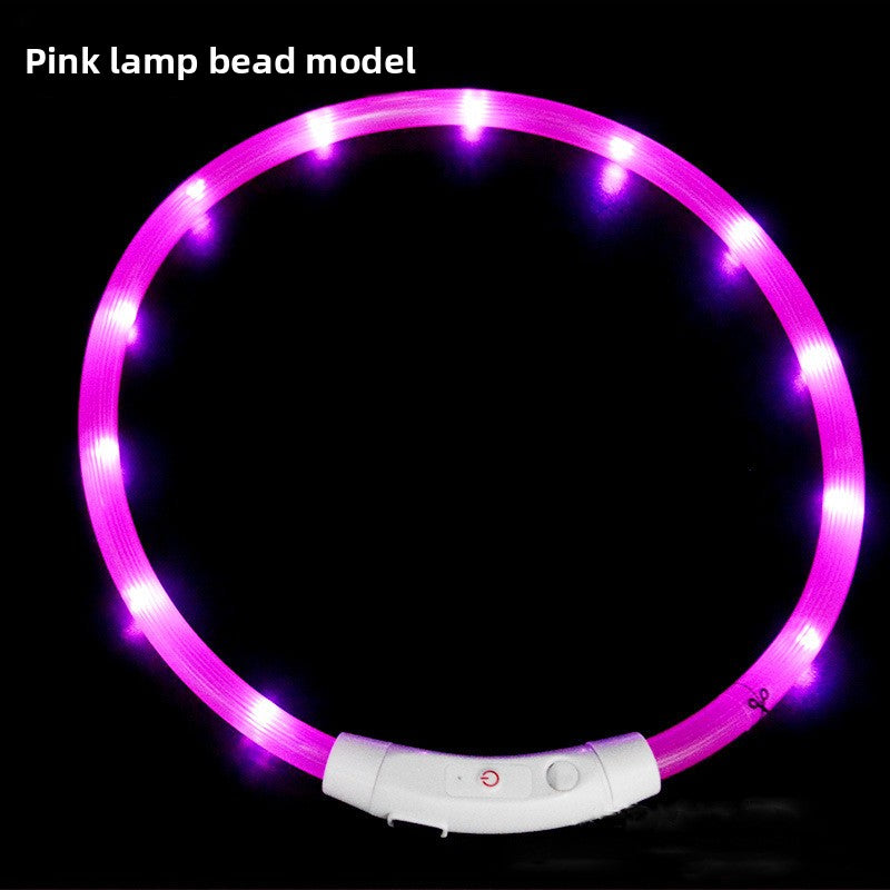 USB rechargeable LED silicone dog collar in White Bead Light, in use with a pet