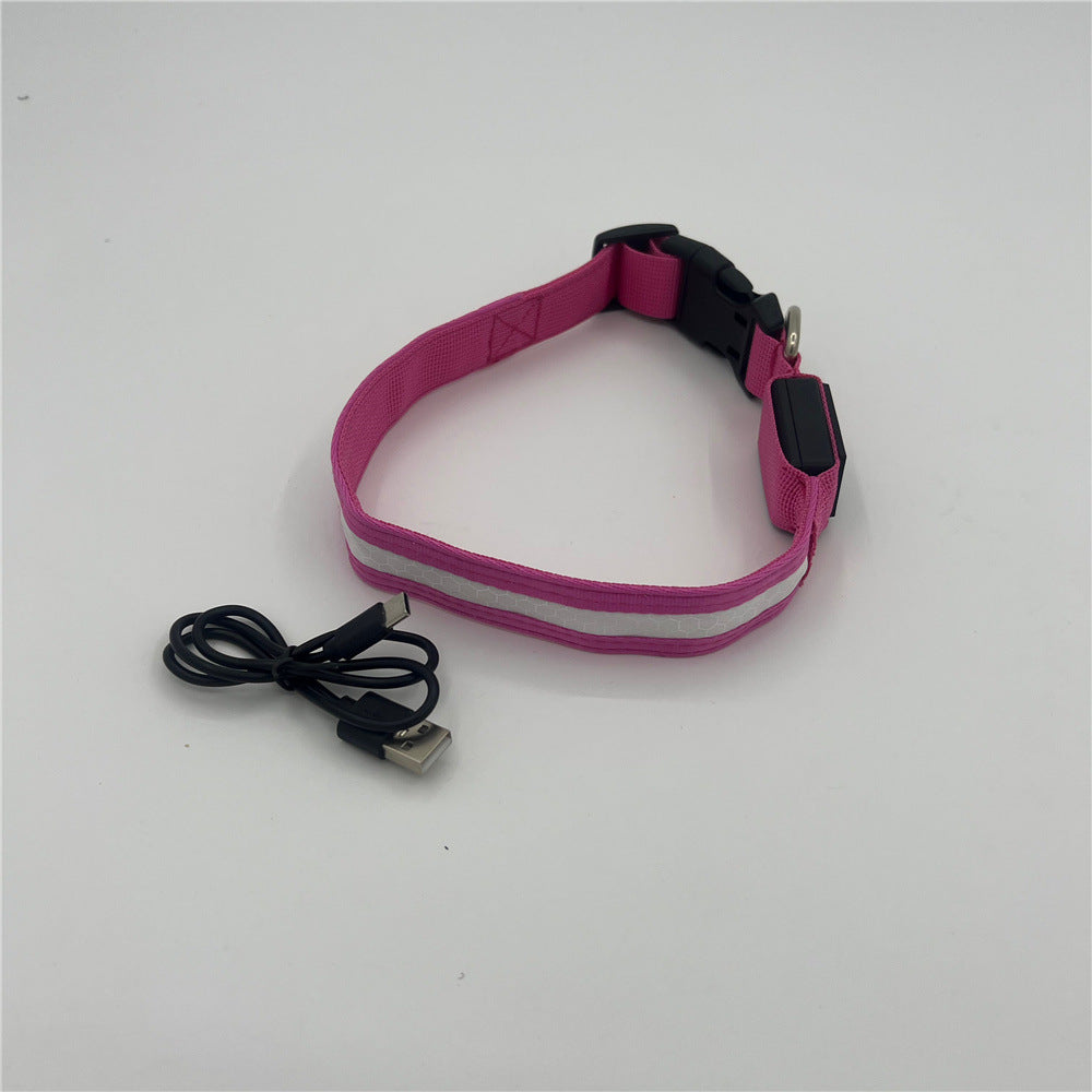 Adjustable LED light up dog collar in Green, showing size and shape