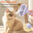 One-Touch Pet Grooming Brush with Hair Collection for Dogs and Cats