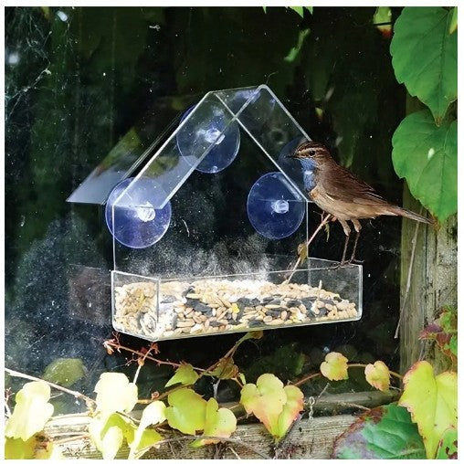 Clear acrylic hanging bird feeder with roof, alternative angle view