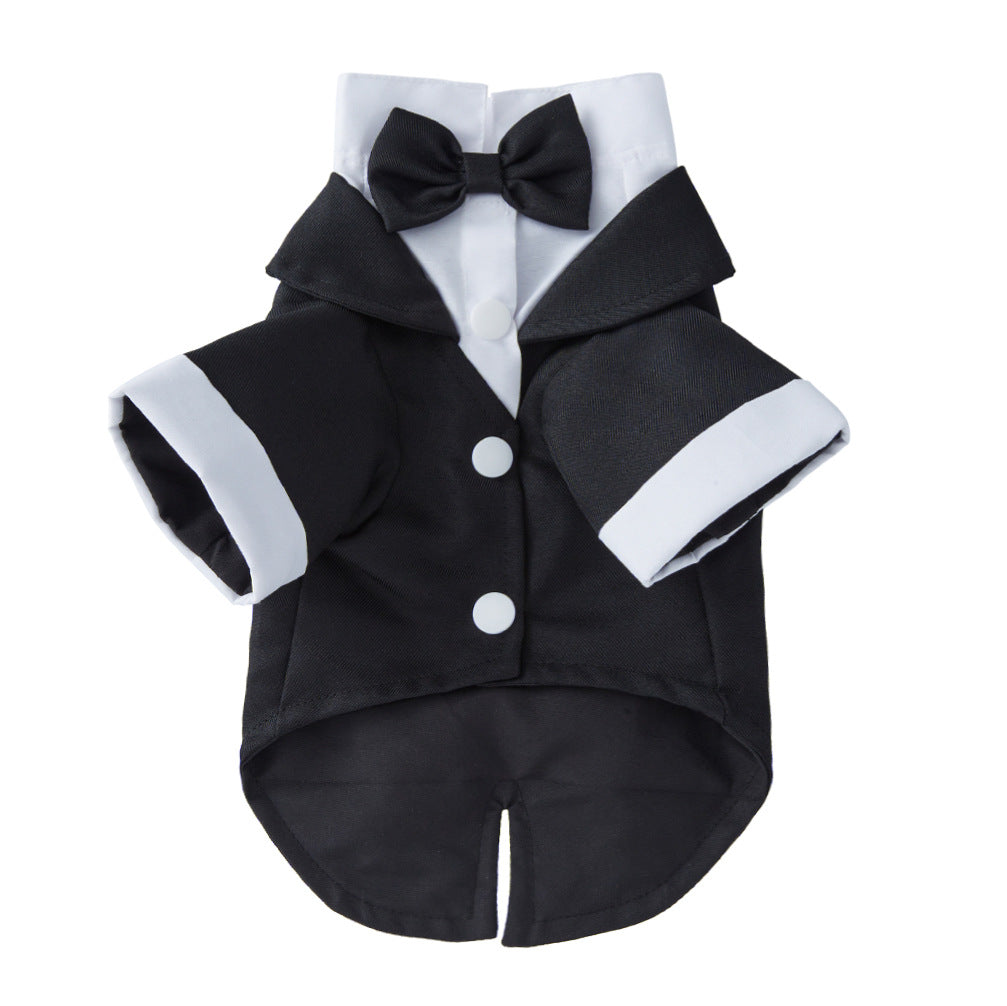 Small dog wearing a smart formal suit with a tie