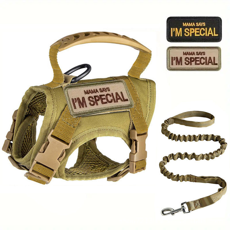 Tactical style vest harness in camouflage on a small dog