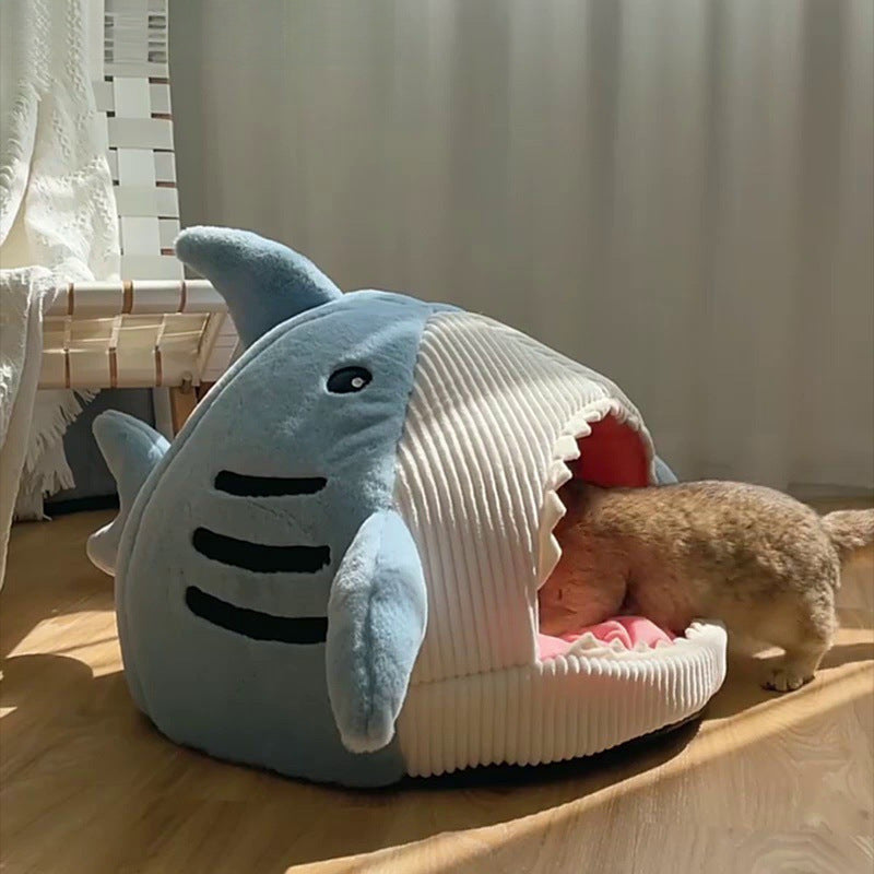 Cat peeking out of a light blue shark cave bed