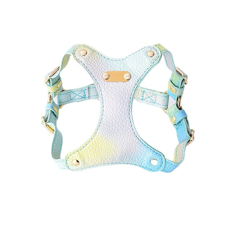 Rainbow pink harness and lead set on a small dog