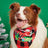 Cartoon print pet bandana for dogs and cats in Design 2, front view