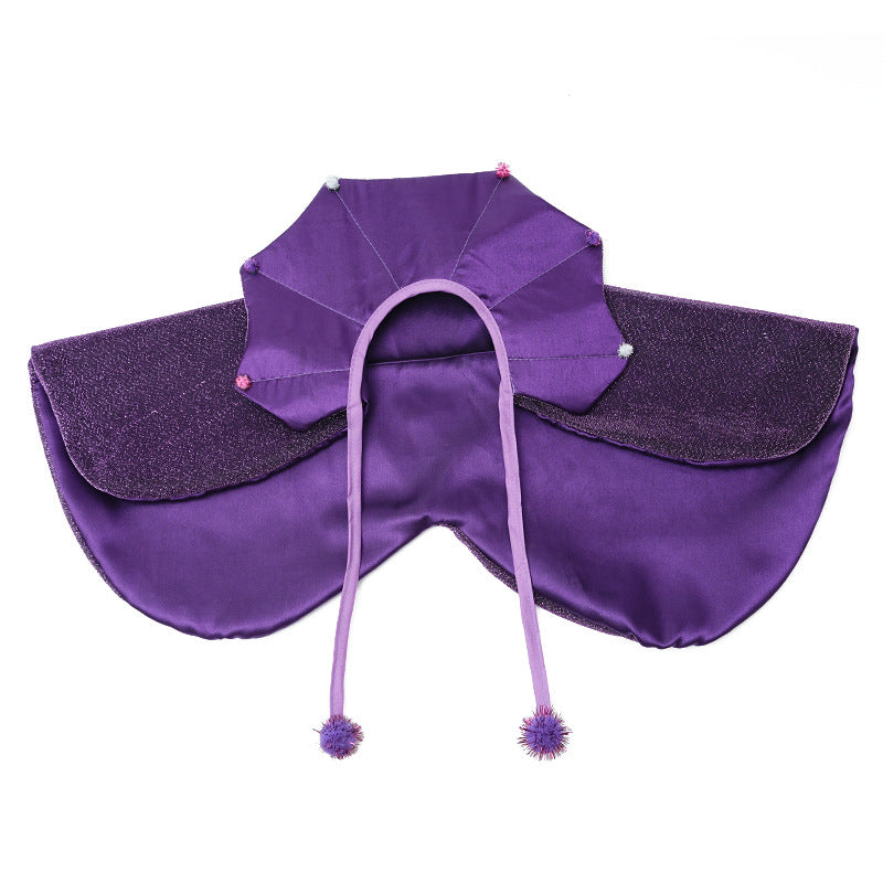 Cat wearing a purple Halloween wizard cloak and hat