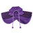 Cat wearing a purple Halloween wizard cloak and hat
