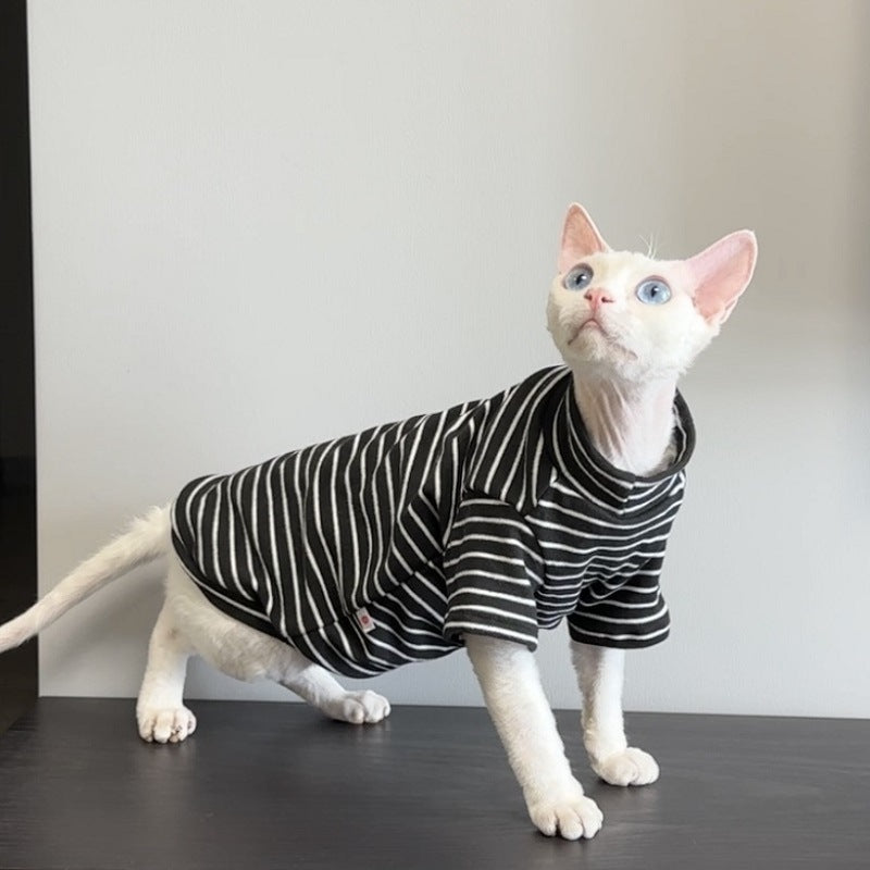 Sphynx cat wearing a warm purple two leg jumper
