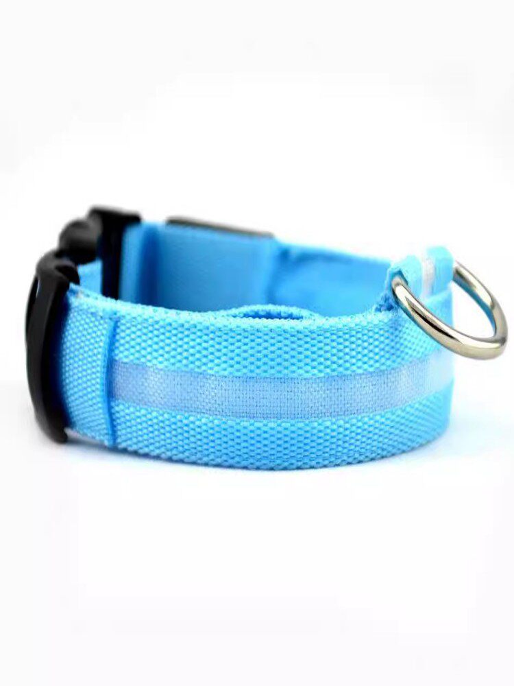 Light up dog collar with reflective strip glowing at night, product image 1