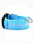Light up dog collar with reflective strip glowing at night, product image 1