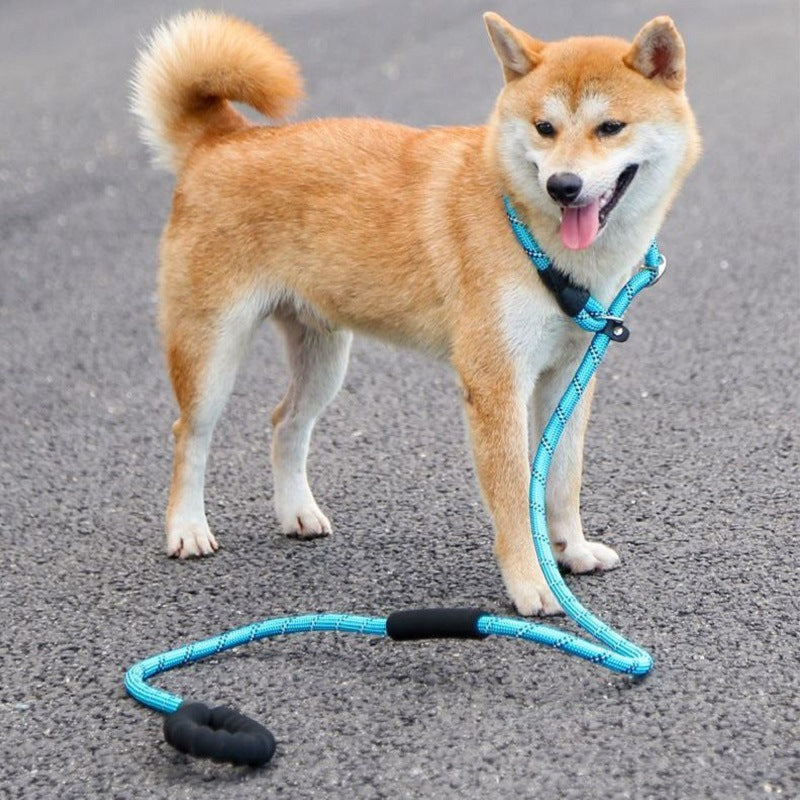 Nylon rope dog lead, 3 sizes available from Pet Royale UK