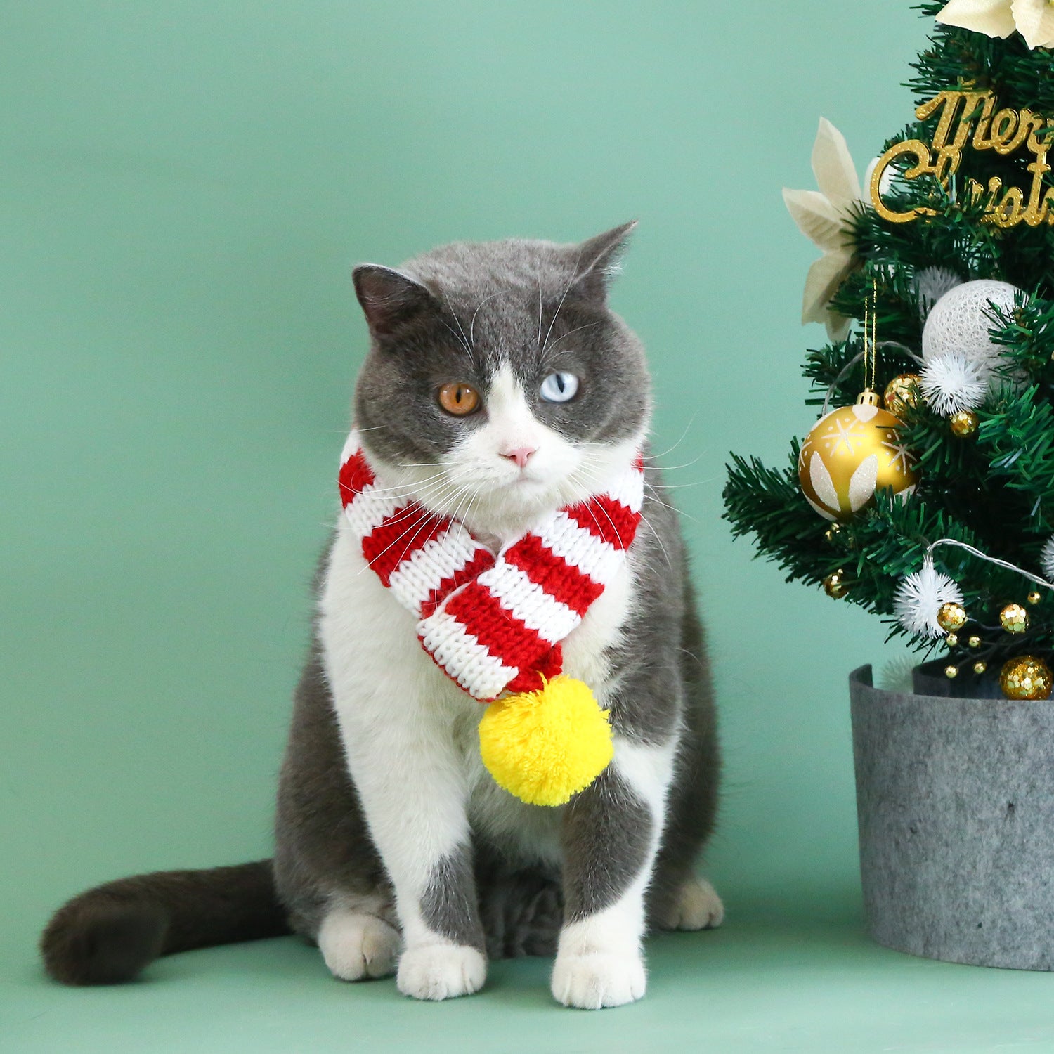 Knitted Christmas pet scarf with red and white festive stripes, view 3