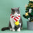 Knitted Christmas pet scarf with red and white festive stripes, view 3