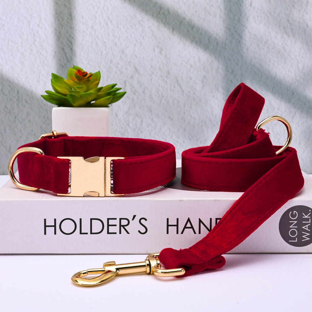Soft velvet dog collar with metal buckle, 4 sizes available