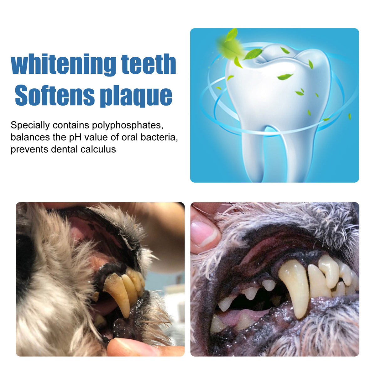 Pet Teeth Cleaning Foam for Dogs and Cats, Fresh Breath Care