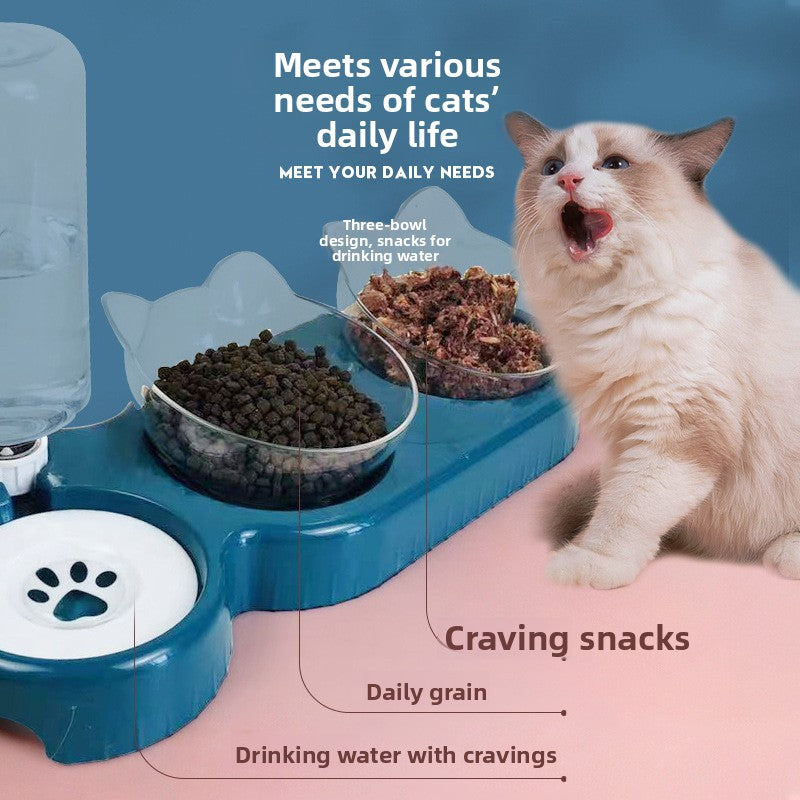 Cat eating from a light blue anti-tip double bowl