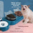 Cat eating from a light blue anti-tip double bowl