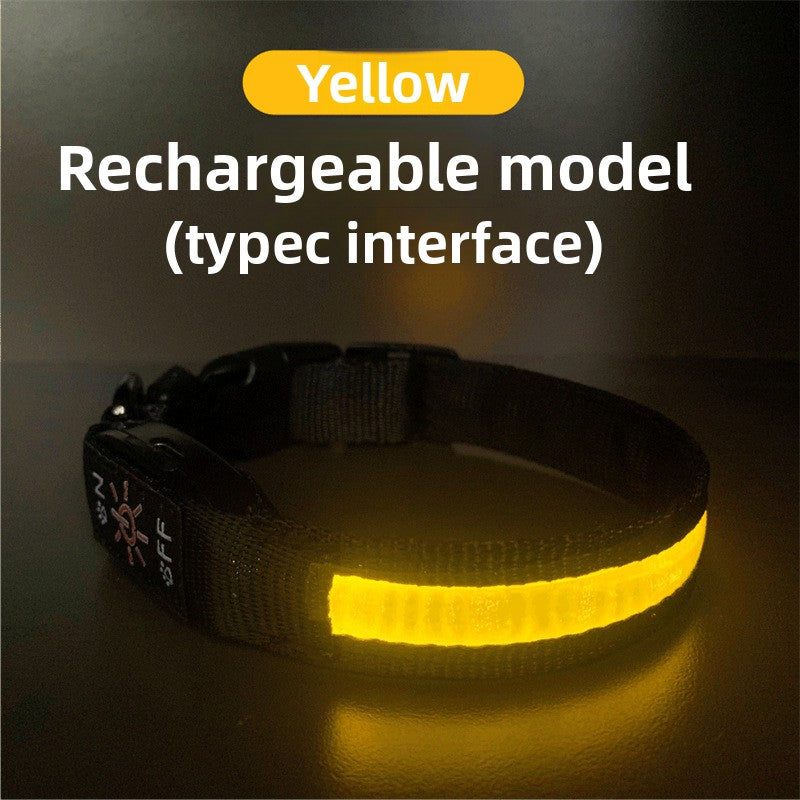 USB rechargeable LED dog collar, main product photo