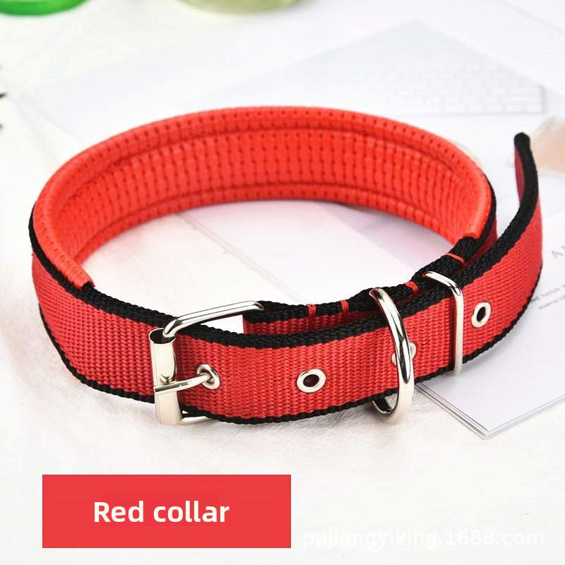 Reflective dog lead and collar set in Blue 2-Piece Set, in a home setting