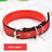 Reflective dog lead and collar set in Blue 2-Piece Set, in a home setting