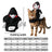 Funny pumpkin and spider Halloween costume for dogs and cats, image 59