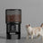 Pet Feeder
