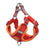 Small dog vest harness, ideal for everyday use