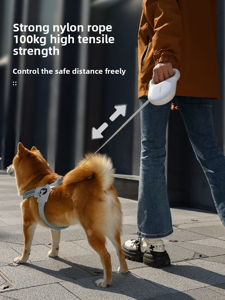 Retractable lead with matching harness for dogs, close-up detail view