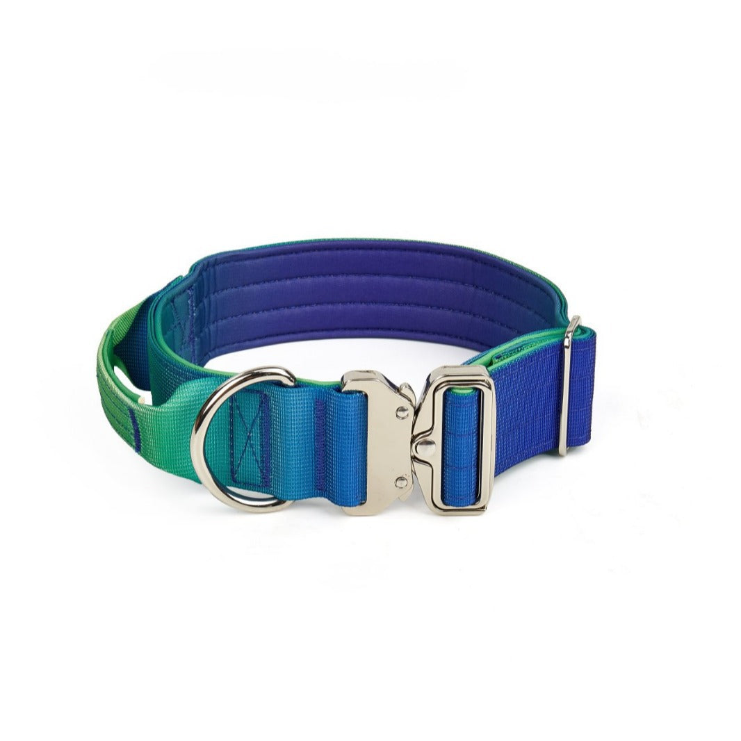 Gradient dog collar and lead, 3 sizes available