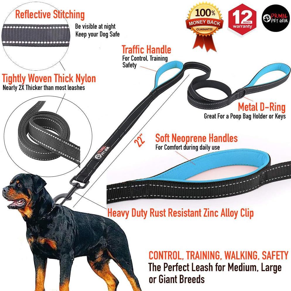 Thick reflective dog leads in black, green, orange and blue