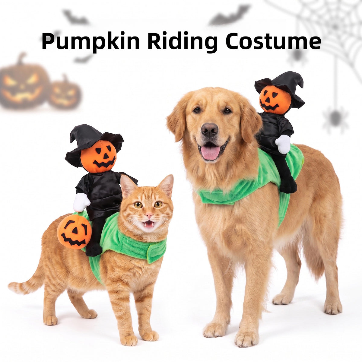 Small dog wearing a pumpkin knight riding horse costume