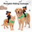 Small dog wearing a pumpkin knight riding horse costume