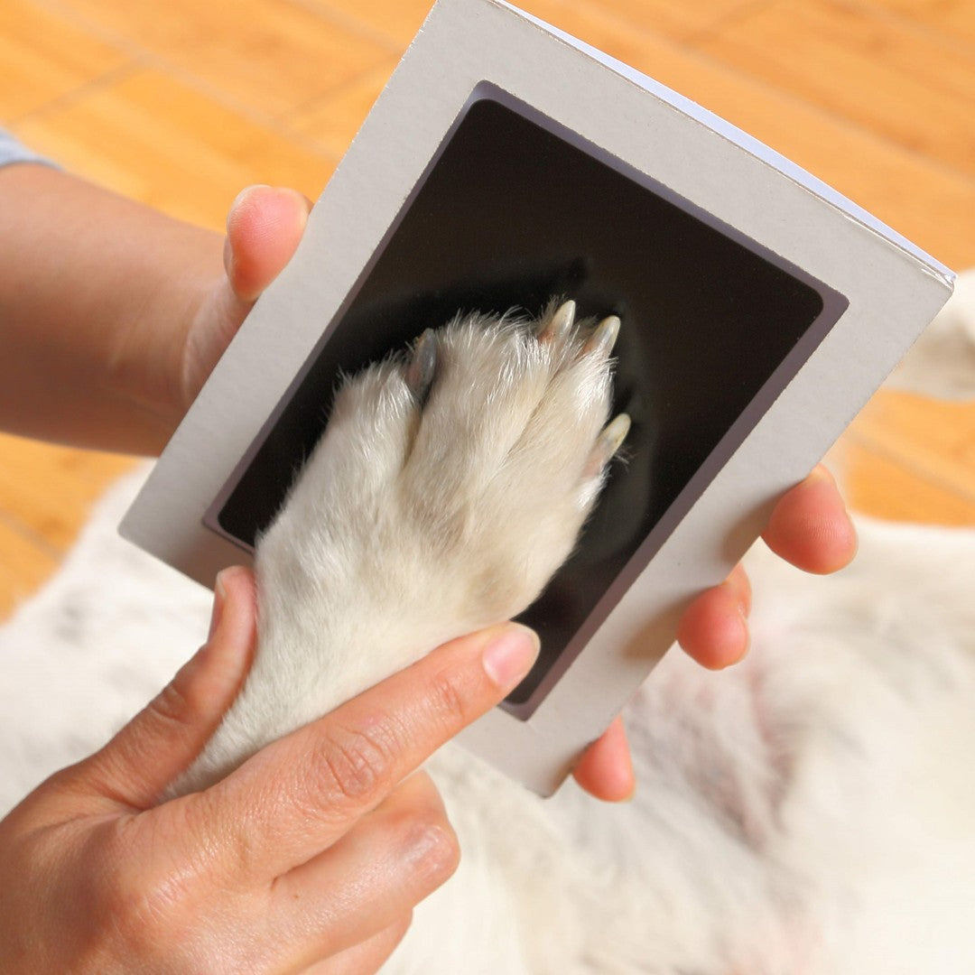 Dog and Cat Paw Print Keepsake Kit with Inkless Ink Pad and Memorial Photo Frame