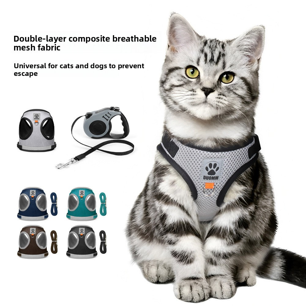 Breathable mesh pet harness and lead set, main product photo